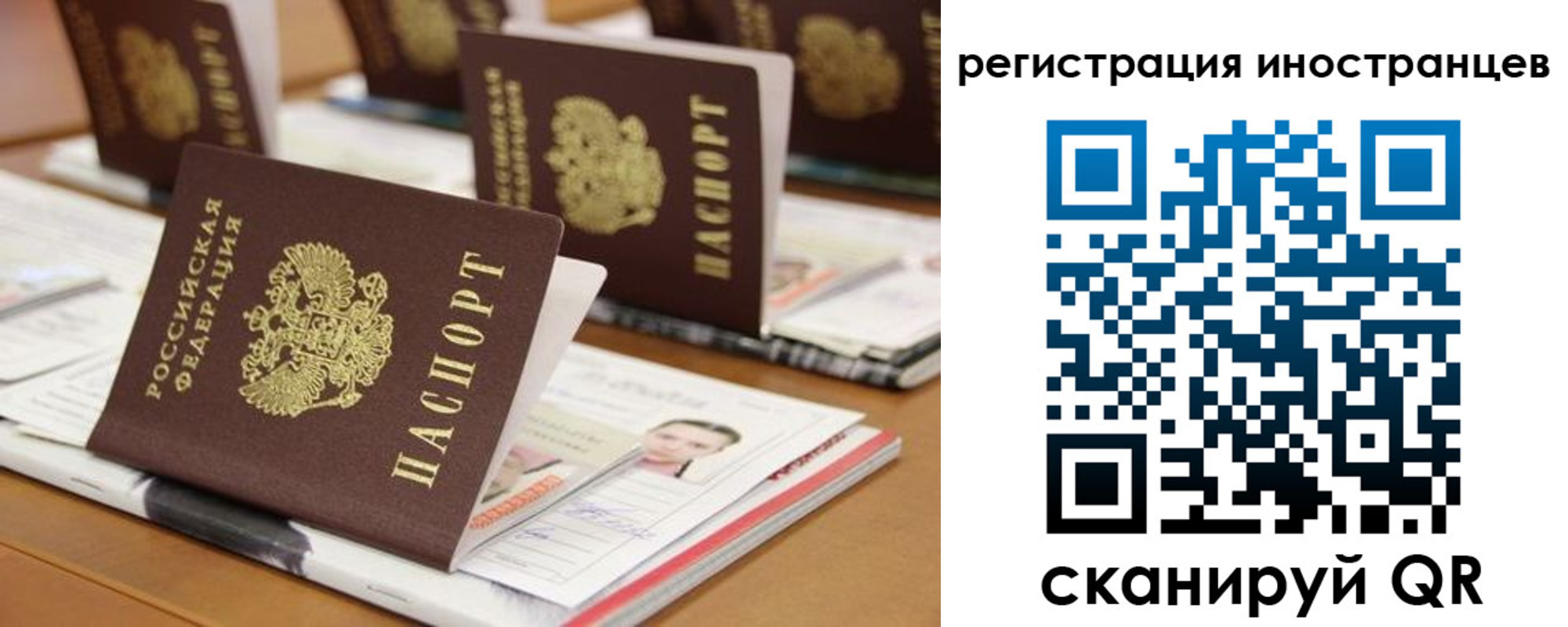 прописка для работы в Ермолино